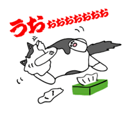 Cat store manager Oahu sticker #9108384