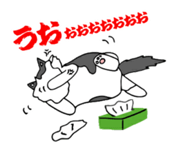 Cat store manager Oahu sticker #9108384