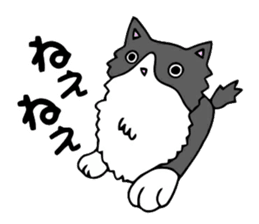 Cat store manager Oahu sticker #9108407