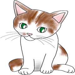 Scottish Fold of kitten Mugi