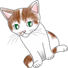 Scottish Fold of kitten Mugi sticker #9109569