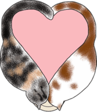 Scottish Fold of kitten Mugi sticker #9109571