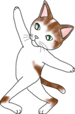 Scottish Fold of kitten Mugi sticker #9109574