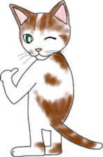 Scottish Fold of kitten Mugi sticker #9109576