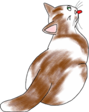 Scottish Fold of kitten Mugi sticker #9109577