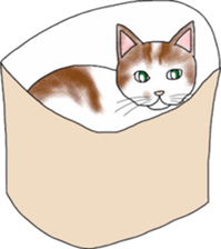 Scottish Fold of kitten Mugi sticker #9109579