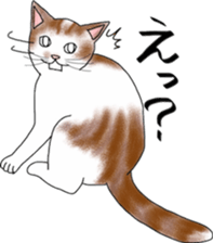 Scottish Fold of kitten Mugi sticker #9109583