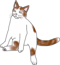 Scottish Fold of kitten Mugi sticker #9109588