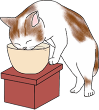 Scottish Fold of kitten Mugi sticker #9109589