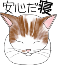 Scottish Fold of kitten Mugi sticker #9109592