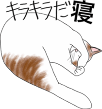 Scottish Fold of kitten Mugi sticker #9109593