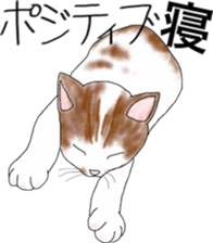 Scottish Fold of kitten Mugi sticker #9109594
