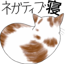 Scottish Fold of kitten Mugi sticker #9109595