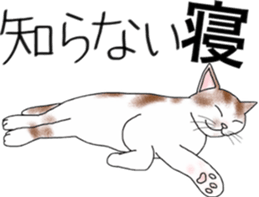 Scottish Fold of kitten Mugi sticker #9109598