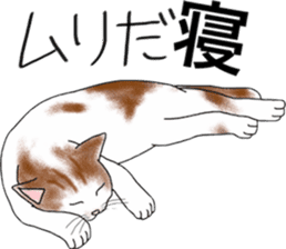 Scottish Fold of kitten Mugi sticker #9109602