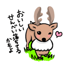 Funny deer in Nara 2 sticker #9111820