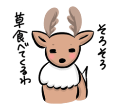 Funny deer in Nara 2 sticker #9111827