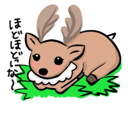 Funny deer in Nara 2 sticker #9111841