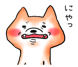 Japanese Shiba inu stickers!3 sticker #9114850