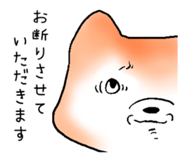 Japanese Shiba inu stickers!3 sticker #9114857