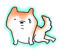 Japanese Shiba inu stickers!3 sticker #9114859