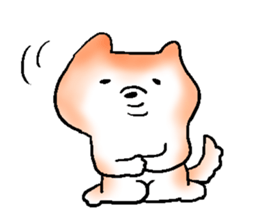 Japanese Shiba inu stickers!3 sticker #9114870