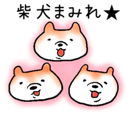 Japanese Shiba inu stickers!3 sticker #9114873