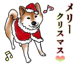 Japanese Shiba inu stickers!3 sticker #9114875