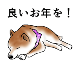 Japanese Shiba inu stickers!3 sticker #9114877