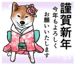 Japanese Shiba inu stickers!3 sticker #9114880