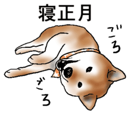 Japanese Shiba inu stickers!3 sticker #9114882