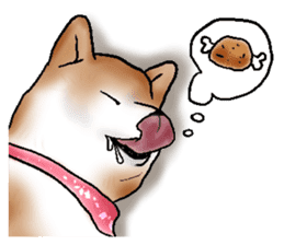 Japanese Shiba inu stickers!3 sticker #9114883