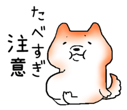 Japanese Shiba inu stickers!3 sticker #9114884