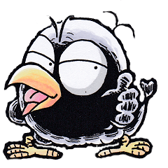 crow of car