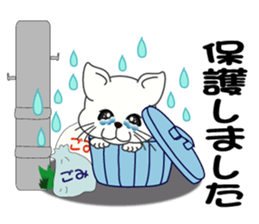 Owner recruitment sticker #9117049