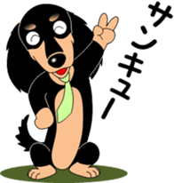 Miniature dachshund couple sticker #9118571