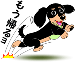 Miniature dachshund couple sticker #9118573