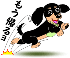 Miniature dachshund couple sticker #9118573