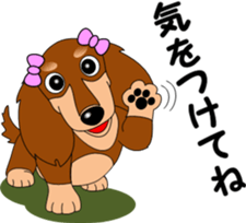 Miniature dachshund couple sticker #9118594