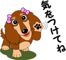 Miniature dachshund couple sticker #9118594