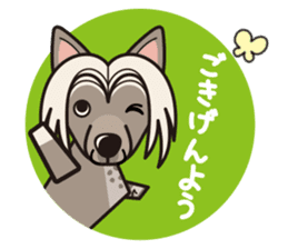 iinu - Chinese Crested Dog sticker #9119248