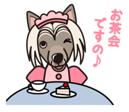iinu - Chinese Crested Dog sticker #9119249