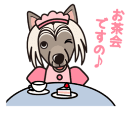 iinu - Chinese Crested Dog sticker #9119249