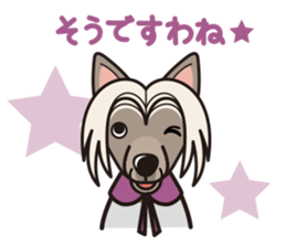 iinu - Chinese Crested Dog sticker #9119254