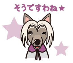 iinu - Chinese Crested Dog sticker #9119254