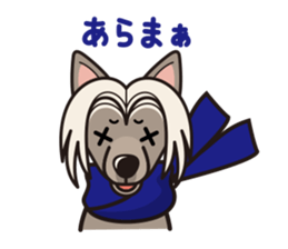 iinu - Chinese Crested Dog sticker #9119255