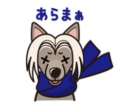 iinu - Chinese Crested Dog sticker #9119255