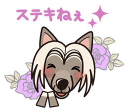 iinu - Chinese Crested Dog sticker #9119257