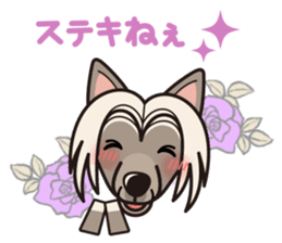 iinu - Chinese Crested Dog sticker #9119257