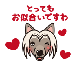 iinu - Chinese Crested Dog sticker #9119259
